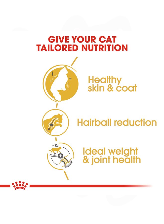 31825508253993 31825508253993