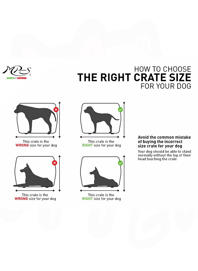 Skudo (All Size) 1 Skudo (All Size) 1