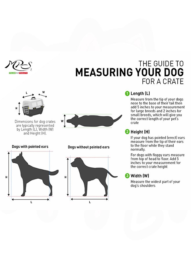 Skudo (All Size) 2 Skudo (All Size) 2