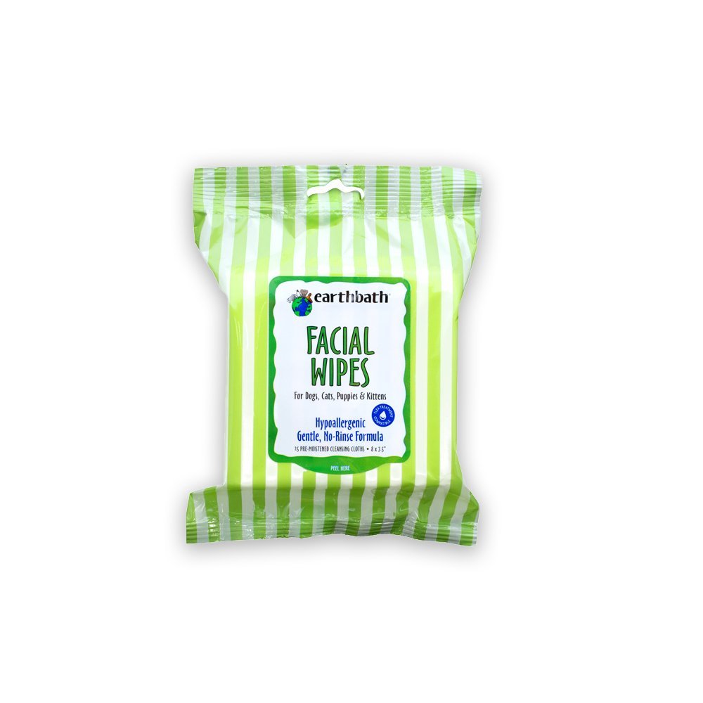 Earthbath All Natural Hypo Allergenic Facial Wipes Fragrance Free