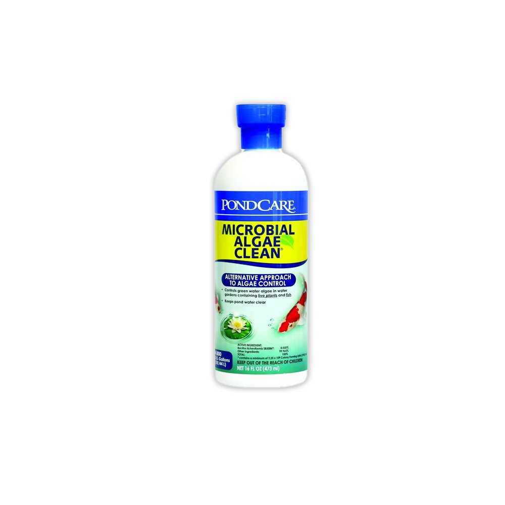 API Pond Microbial Algae Clean - 16 OZ