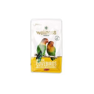 Padovan Bird Food Welness Lovebirds - 850G