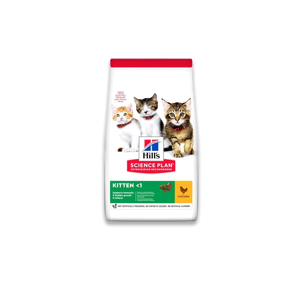 Hills Science Kitten Dry Cat Food Standard - 3 KG