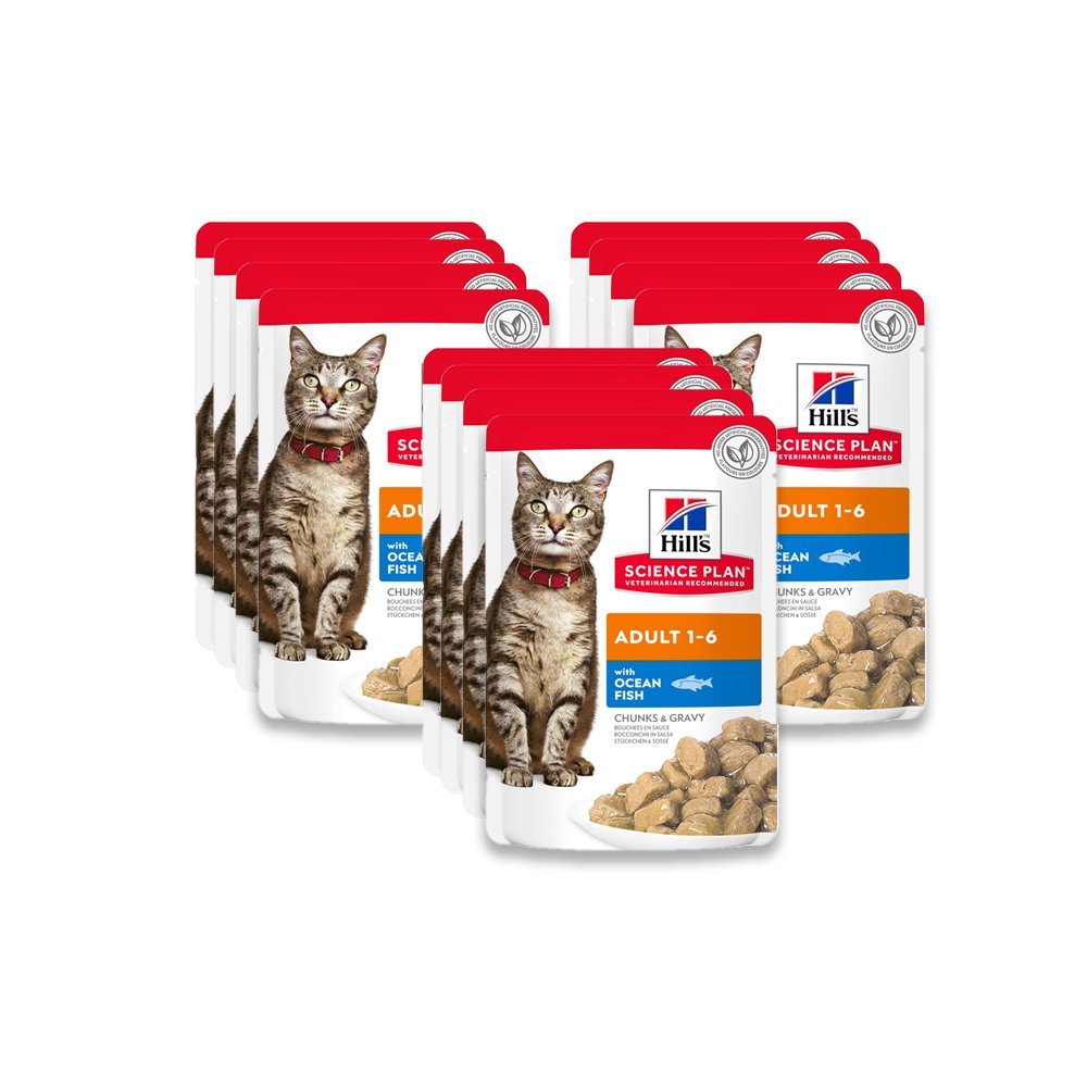 Hill'S Science Plan Adult Wet Cat Food Ocean Fish Pouches - (12X85G)