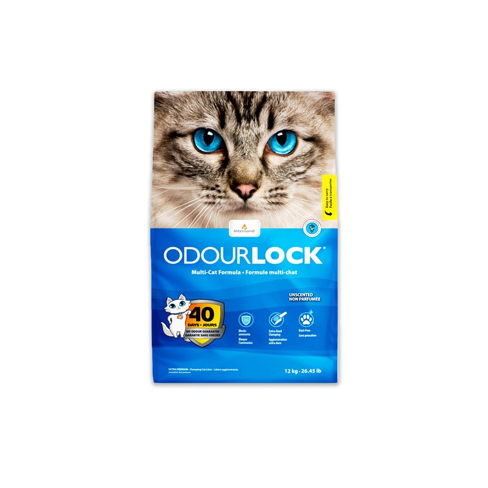 Inter Sand Odour Lock Clumping Cat Litter - 12 KG