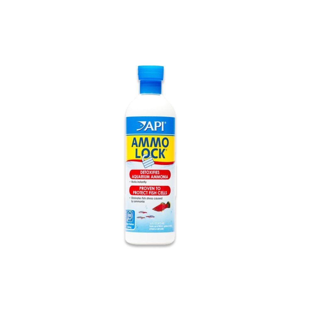 API Ammo Lock - 16 OZ