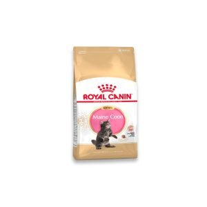 Royal Canin Maine Coon Kitten Dry Food - 2 KG
