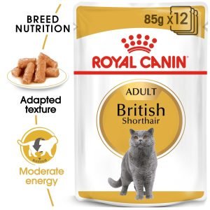 Royal Canin British Shorthair Adult Gravy Wet Food