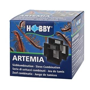 Hobby Artemia Screen Combination 4