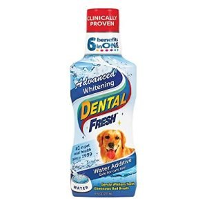Synergylabs Dental Fresh Advanced Whitening 8OZ