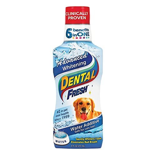 Synergylabs Dental Fresh Advanced Whitening 8OZ