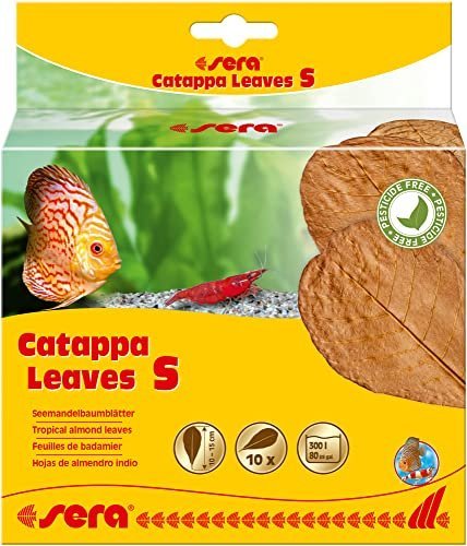 Catappa Leaves SML