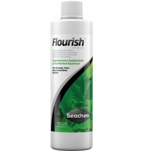 Scachem Flourish